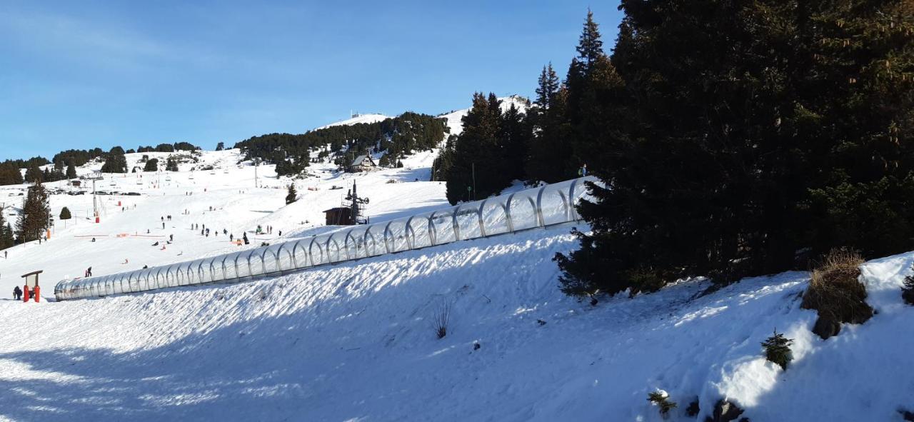 Studio Aux Pieds Des Pistes Roche Beranger Chamrousse Bagian luar foto