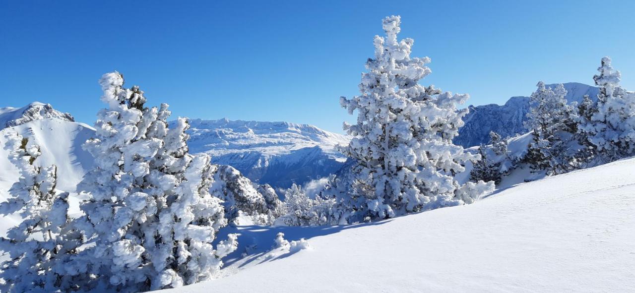 Studio Aux Pieds Des Pistes Roche Beranger Chamrousse Bagian luar foto
